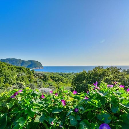 Pataki Studios Petrovac Buitenkant foto