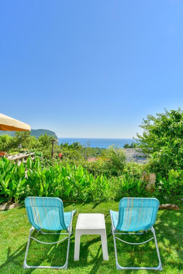 Pataki Studios Petrovac Buitenkant foto