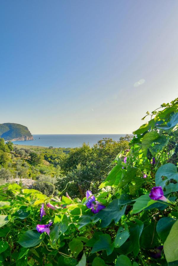 Pataki Studios Petrovac Buitenkant foto