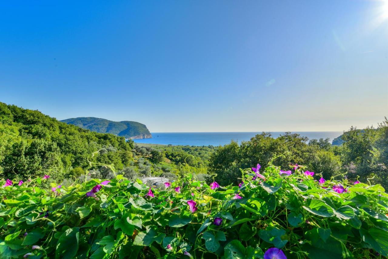 Pataki Studios Petrovac Buitenkant foto
