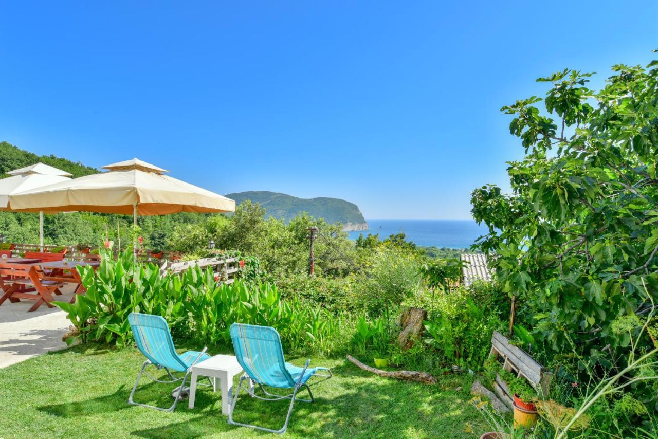 Pataki Studios Petrovac Buitenkant foto