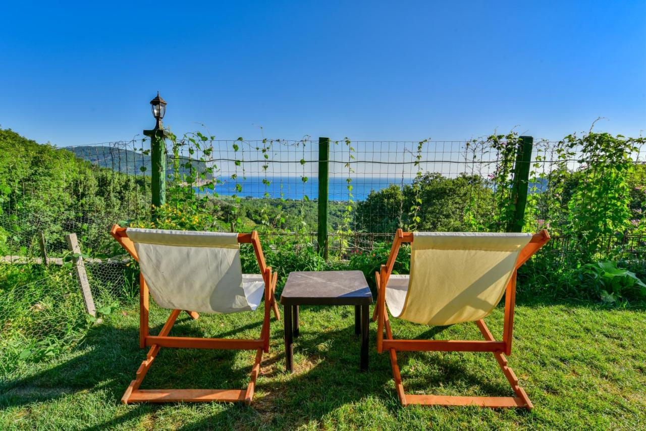 Pataki Studios Petrovac Buitenkant foto