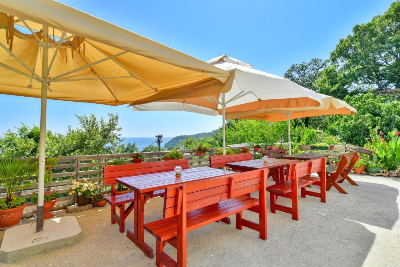 Pataki Studios Petrovac Buitenkant foto