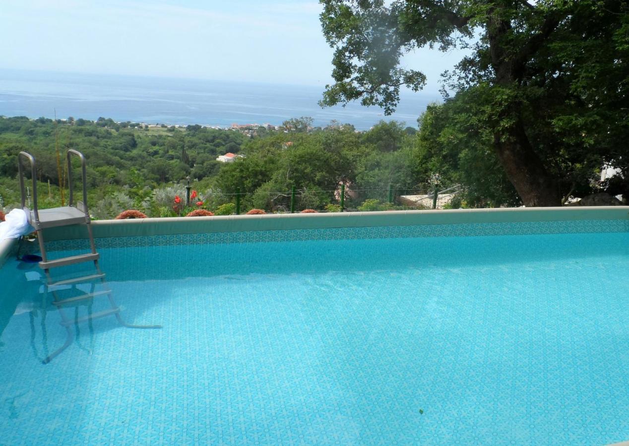 Pataki Studios Petrovac Buitenkant foto