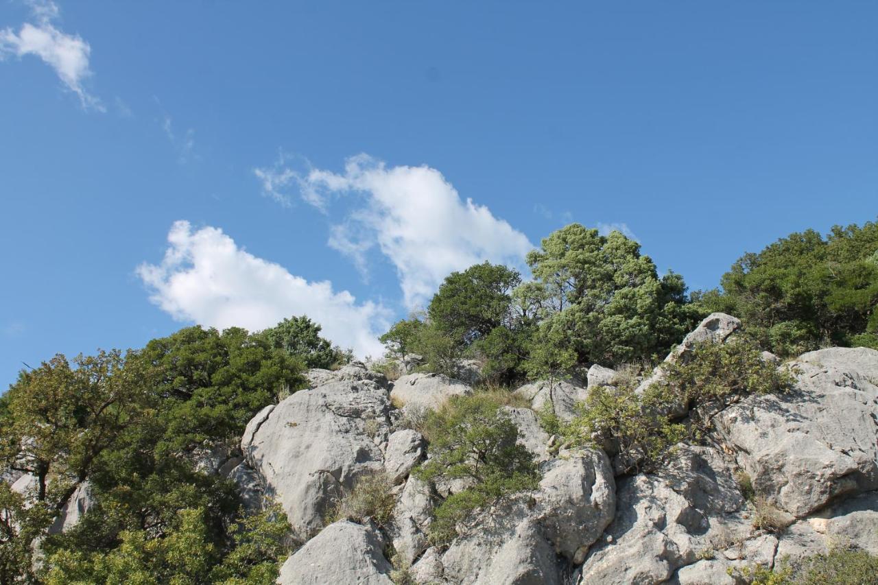 Pataki Studios Petrovac Buitenkant foto