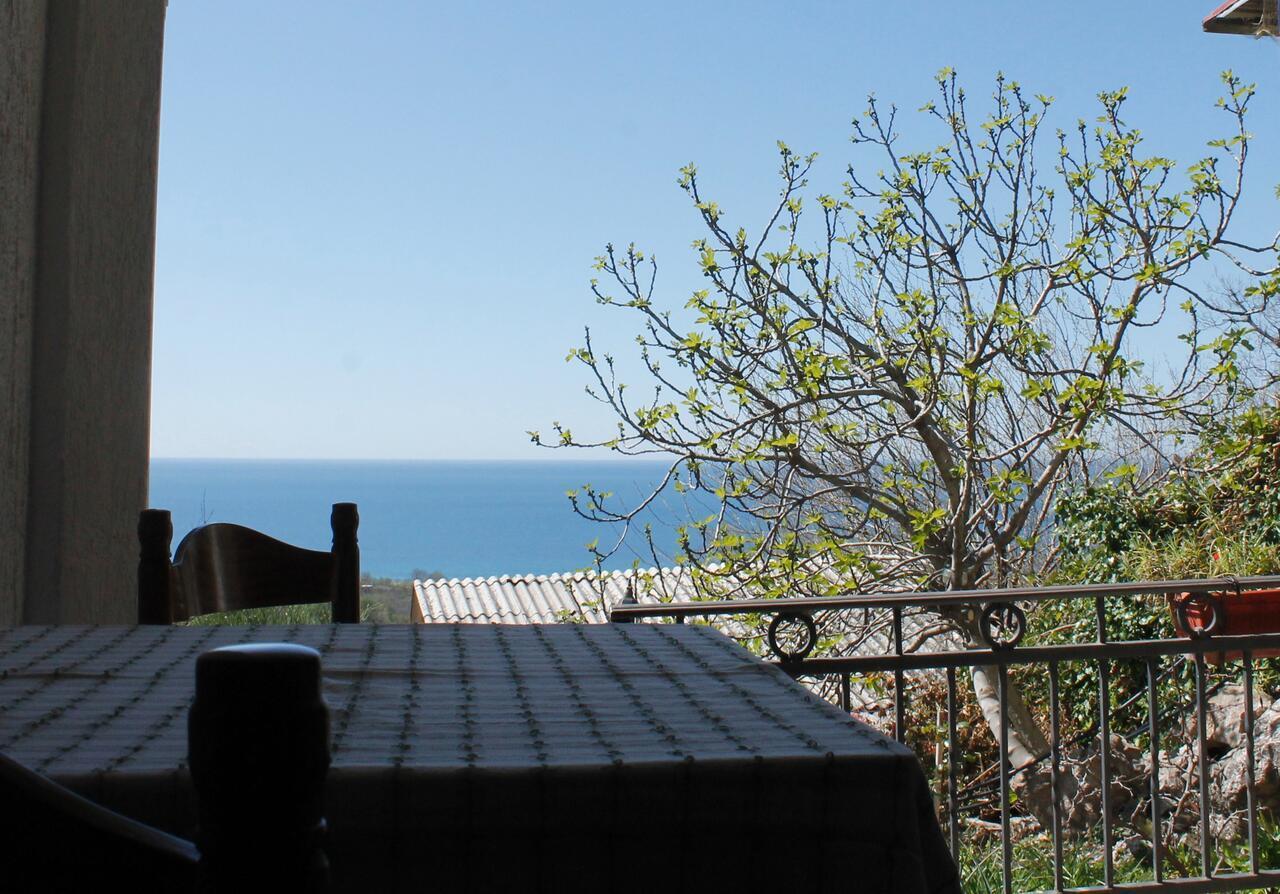 Pataki Studios Petrovac Buitenkant foto